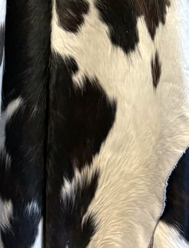 Close-up of a black & white hide