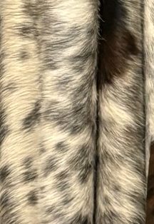 Close-up of a speckled hide
